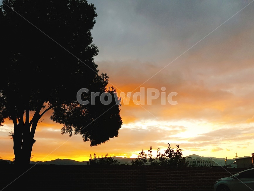 nature,자연,outdoors,옥외,sunset,redsky,붉은하늘,sky,하늘,dusk,황혼,풍경,나무,tree,일몰,자연,풍경,nature,landscape,dawn,새벽,red sky,붉은 하늘