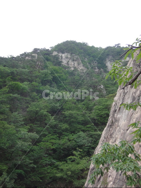 산,절벽,바위,나무,초록,자연,풍경,nature,landscape,outdoors,옥외,cliff,낭떠러지