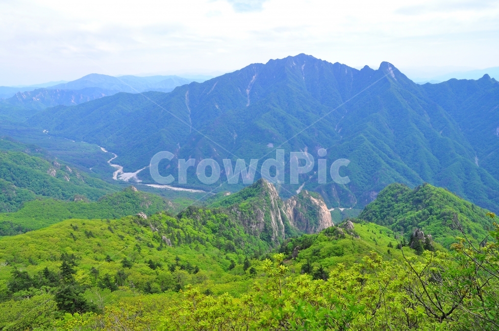 설악산,정상,봉우리,신록,힐링,한계령,고갯길,능선,산위에서,길,발아래,숲,forest,mountain,green,healing,서정적,장쾌한,파노라마,풍경,절경,명소,관광지,명산,강원도,블루,파랑색,하늘,시즌,계절,spring,season,자연,풍경,nature,landscape,한국자연풍경,한국자연경관,korea nature landscape,outdoors,옥외,산,mountain range,산맥