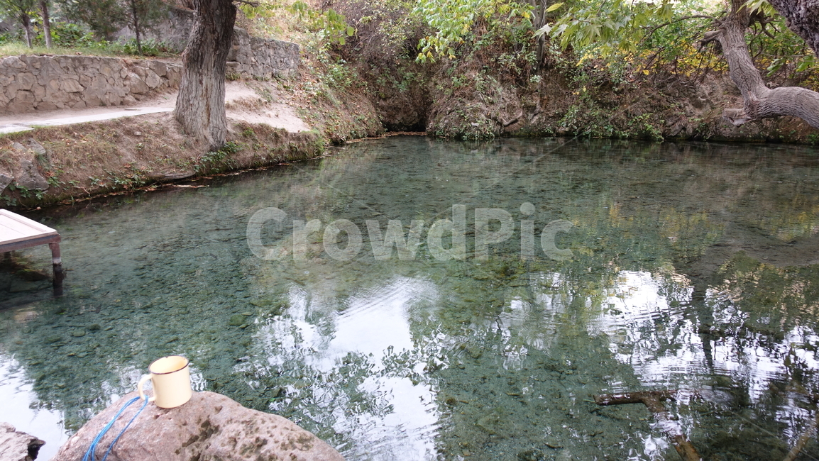 lake,호수,연못,자연,nature,blue,파랑,나무,tree