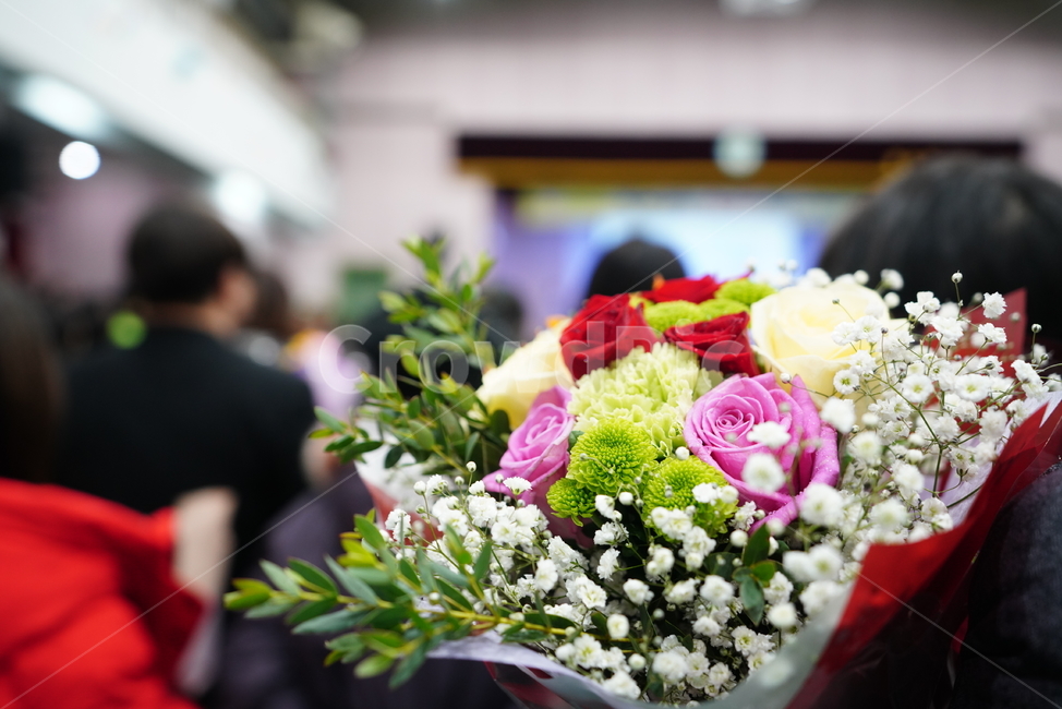 꽃,플라워,식물,생물,선물,꽃다발,졸업,행사,blossom,flowerbouquet,flower