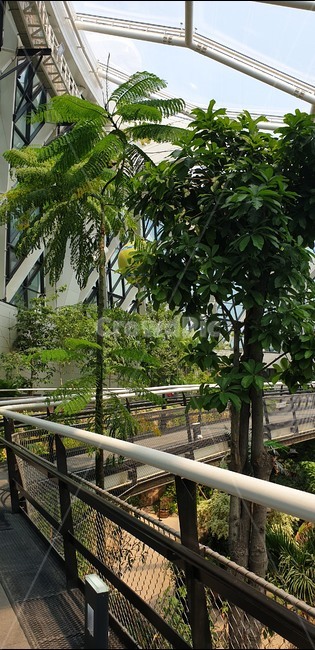 garden,정원,정자,서울식물원,마곡서울식물원,식물원,식물,자연,plants,nature,나무,trees,wood