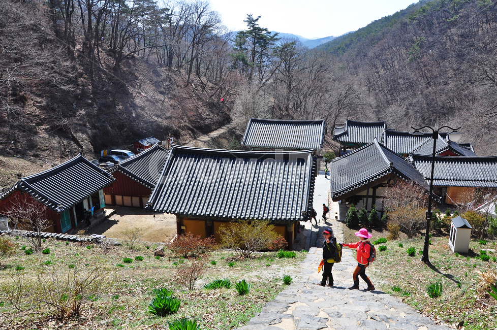 충남,청양,장곡사,절,사찰,봄,봄나들이,계절,nature,자연,outdoors,옥외,human,인간,person,사람,building,건물