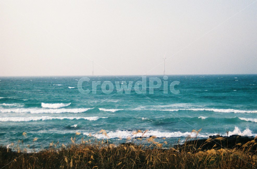 제주도,jeju,바다,제주바다,sea,ocean,outdoors,nature,자연,필름,필름사진,film