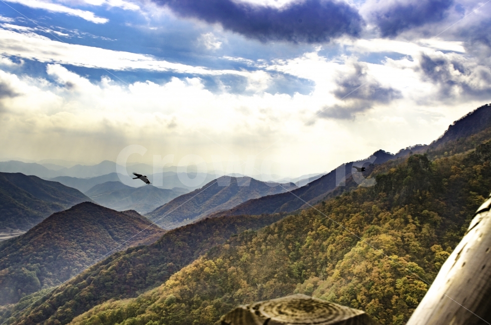 산,새,까마귀,하늘,단풍,가을,구름,배경하면,가을,계절,fall,autumn,season,자연,풍경,nature,landscape,동물,animal,조류,새,birds,outdoors,옥외,mountain range,산맥,mountain,bird