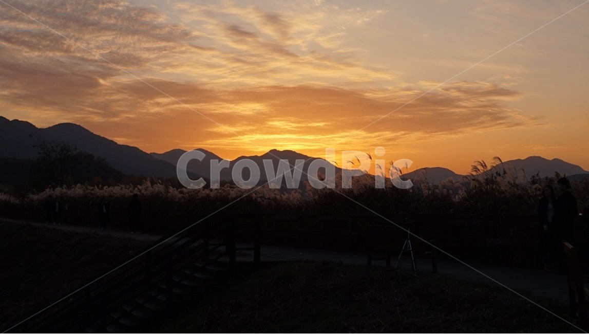 주남저수지,억새,철새,노을,해질녘,sunset,자연,풍경,nature,landscape,outdoors,옥외