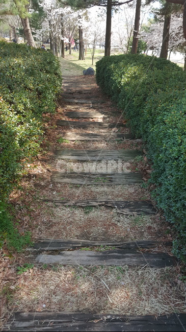 산책로,산책,stroll,봄,spring