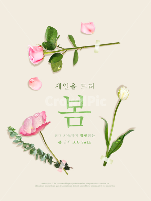장미,꽃,봄,프레임,이벤트,쇼핑,봄,계절,spring,season,꽃,flower,축제,행사,festival,carnival,event,쇼핑,shopping,그래픽,일러스트레이션,graphic,illustration,plant,식물