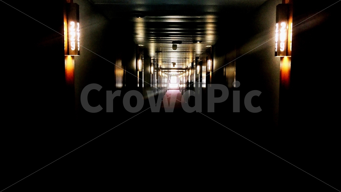 건물,실내,분위기,호텔,복도,인테리어,실내디자인,interior design