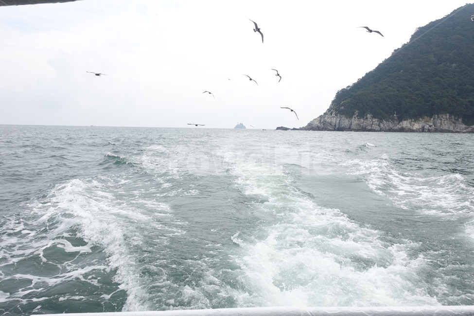 파도,바다,갈매기,배,sea,wave,seagull,ship