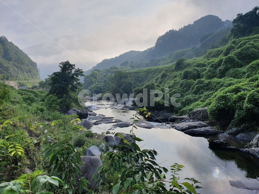 자연,nature,water,물,outdoors,작은만,creek,옥외,stream,흐름,안개,자연,풍경,nature,landscape,작은 만