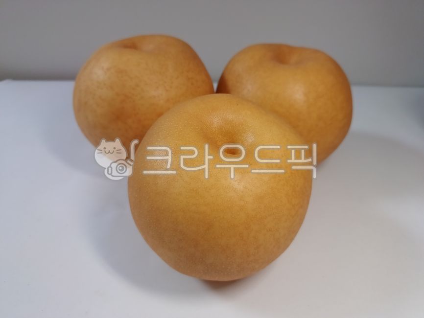 배, 과일, pear, fruit, 신고배, 사진,이미지,일러스트,캘리그라피 - Cool Moon작가