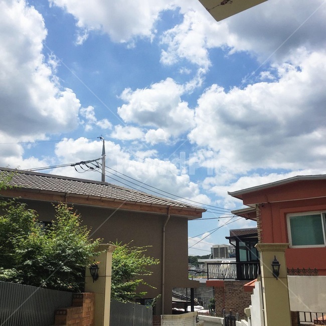 nature,자연,weather,날씨,outdoor,옥외,하늘,구름,cloud