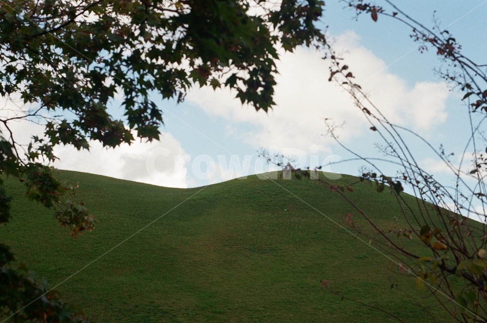 경주,릉,자연,초록,풀,나무,자연,풍경,nature,landscape,outdoors,옥외,grassland,목초지,field,들