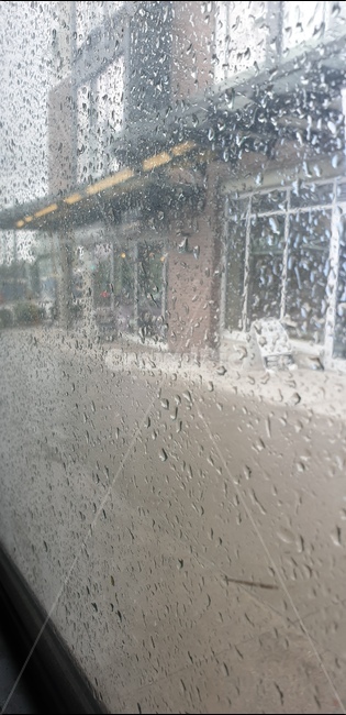 Rainy Day,rainwater,by the window,out the window,raindrop