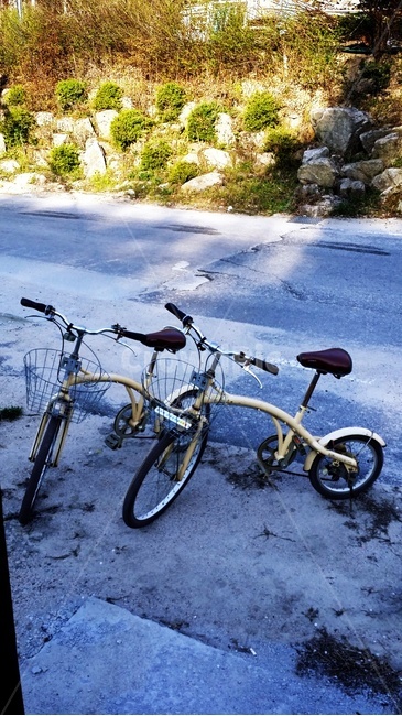 자전거,두발자전거,커플,cycle,bike,운동,자전거길,휴식,이동수단
