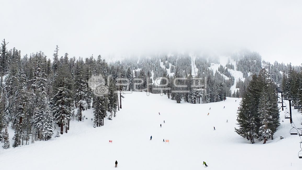겨울,겨울스포츠,스키장,겨울산,스키리프트,winter,ski,lift,person,사람,인간,tree,나무,fir,전나무,nature,자연,눈,스노우,snow
