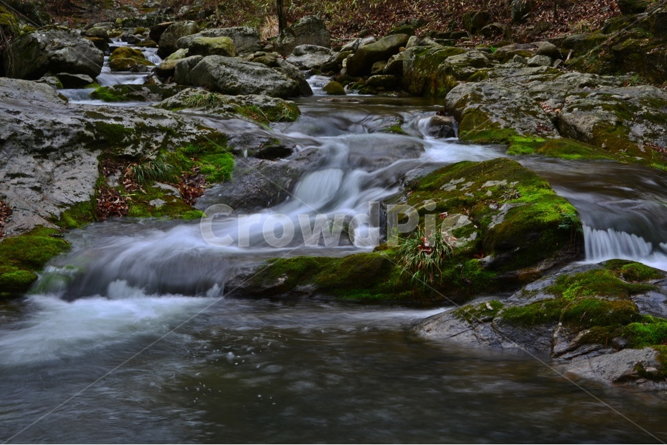 water,물,nature,자연,outdoors,옥외,stream,흐름,승주,선암사,선암사계곡,계곡,물흐름