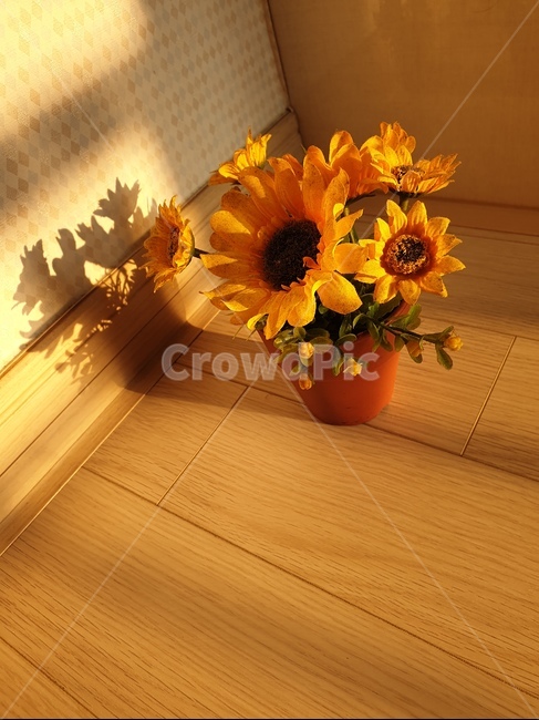 조화장식,해바라기,꽃,화분꽃,조화꽃,식물,자연,plants,nature,꽃,flower