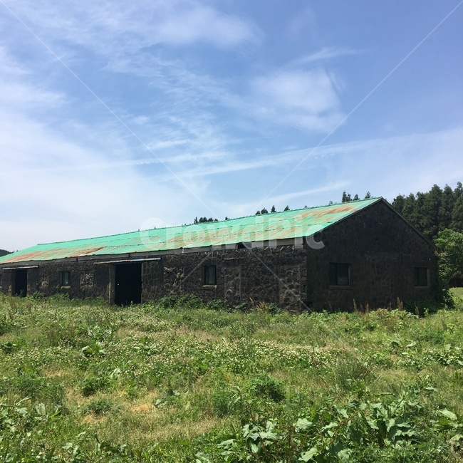 nature,자연,outdoors,옥외,건물,제주도,지붕,돌담집,현무암,오래된,전통돌담집,잔디밭,신혼촬영지,화창한,옛집,고택