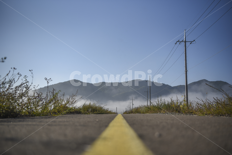 도로,아스팔트,노란선,안개,차도로,전봇대,자연,풍경,nature,landscape,asphalt,road,highway,고속도로,freeway,고속 도로