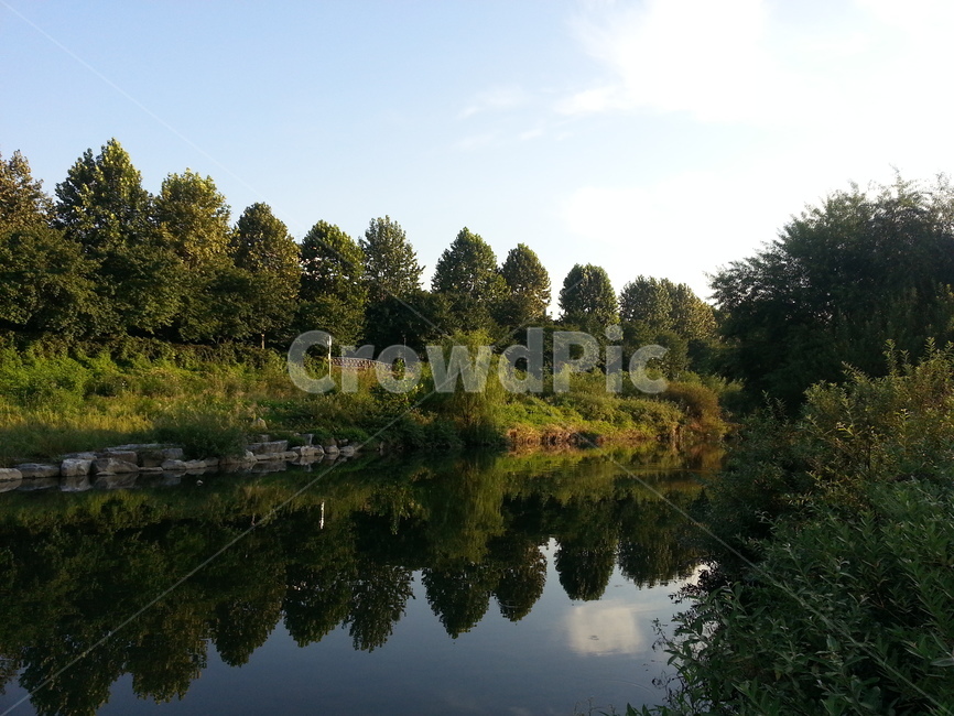 자연,nature,물,water,tree,나무,outdoors,옥외,plant,식물,공원,park,소풍,피크닉,picinic,거울,mirror