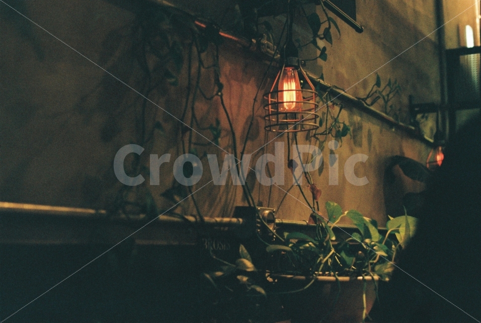 감성,감성사진,카페,빛,공간,조명,cafe,film,식물,자연,plants,nature,인테리어,실내디자인,interior design,감성,sensible,feeling