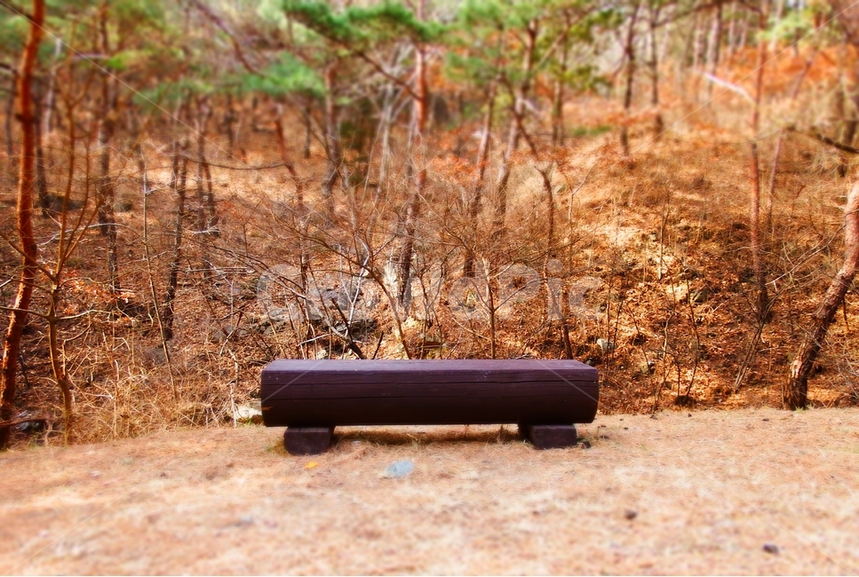벤치,나무의자,쉼터,나무,산길,쉴곳,자연,풍경,nature,landscape,ground,바닥