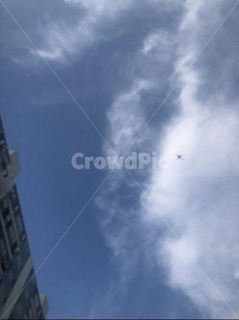 하늘,비행기,구름,여름,sky,airplan