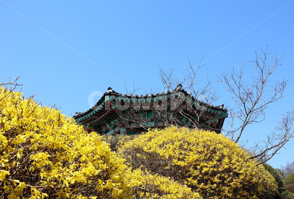 정자,기와,전통건축,단청,문양,무늬,행주산성