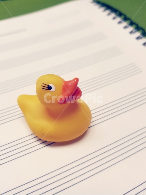 오리,오선지노트,오리주둥이,노랑,duck,musicnote,노트,사물,물건,오브젝트,thing,object,matter