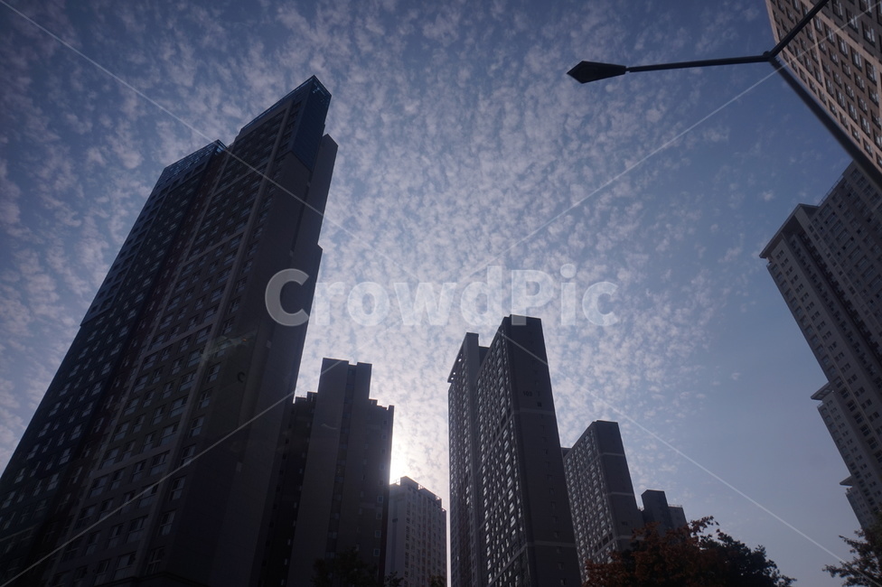 사무실건물,officebuilding,building,건물,하늘