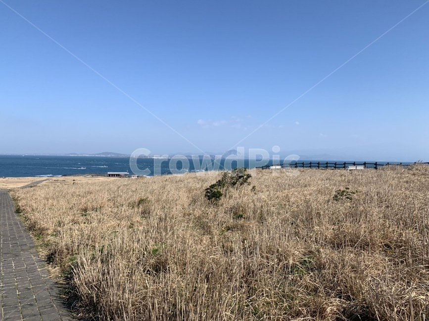 마라도,바다,가을,풍경,제주도,하늘,들판,자연,풍경,nature,landscape,plant,식물,grass,잔디