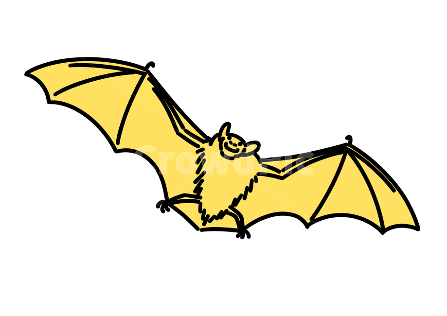 박쥐,bat,박쥐그림,illust,drawing,박쥐일러스트,그래픽,일러스트레이션,graphic,illustration