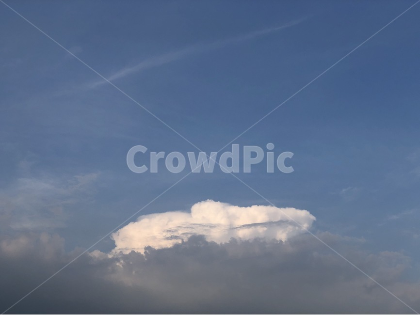 하늘,자연,구름,파랑,흰색,여름,sky,sora,nature,cloud,kumo,blue,ao,white,shiro,summer,natsu,자연,풍경,nature,landscape,weather,날씨,outdoors,옥외,cumulus,적운