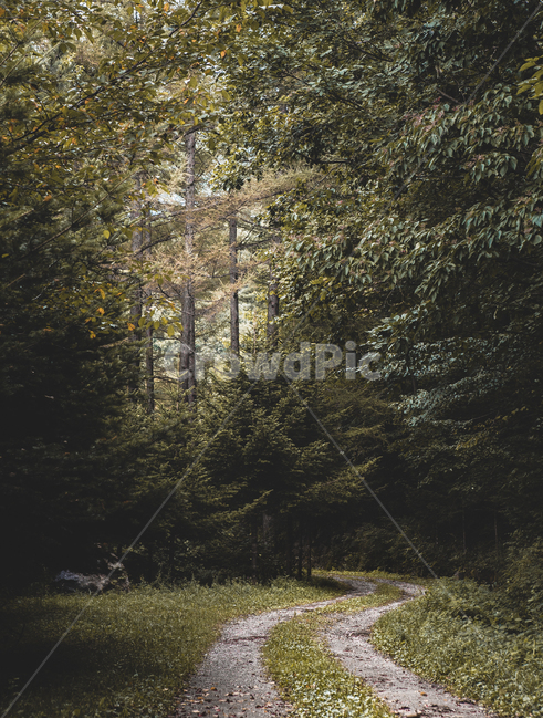 산,민주지산,mountain,한국산,풍경,하늘,sky,절경,자연,풍경,nature,landscape,tree,나무,plant,식물
