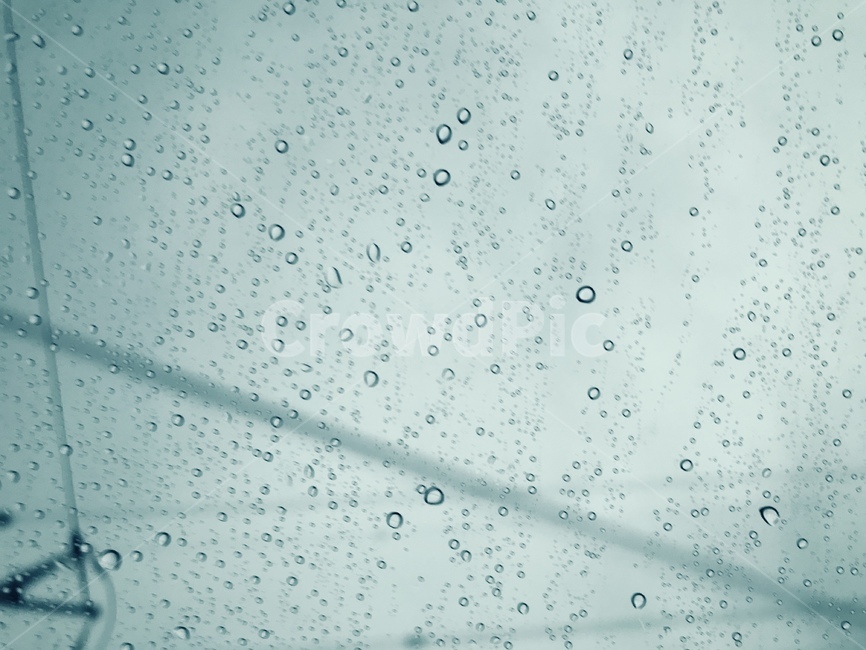 비,유리창,빗방울,감성,우울