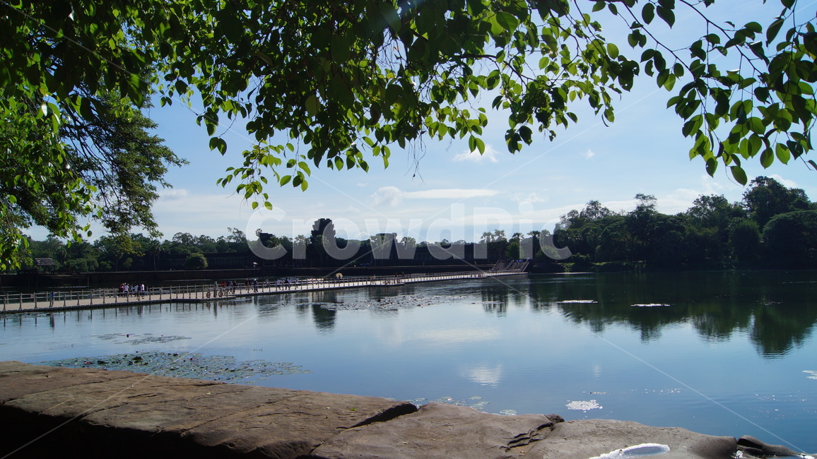 trees,tree,forest,cambodia,sky,blue,cloud,road,park,garden,river,landscape,rock,green,nature,sun,sunny,sunnyday,나무,하늘,공원,숲,캄보디아,강,풍경,자연,잔디,해,풀