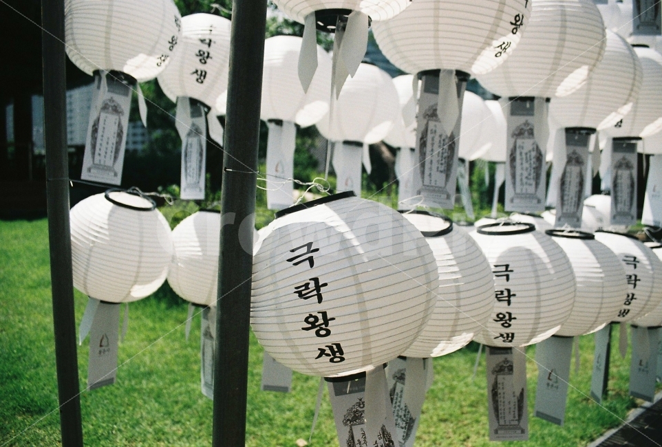 절,봉음사,염원,극락왕생,여름,종교,신앙,religion,belief,faith,축제,행사,festival,carnival,event,기념일,축하,anniversary,congratulation,celebrate,celebration