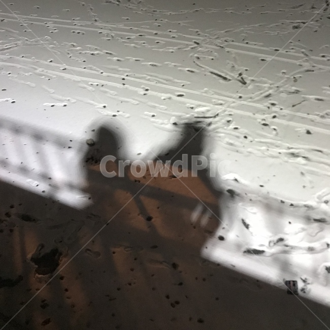 눈,발자국,겨울,그림자,저녁,겨울,계절,winter,season,인물실루엣,사람실루엣,character silhouette,human silhouette