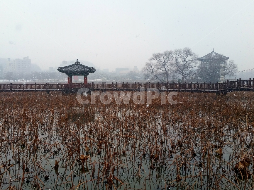 호수,눈,정자,다리,겨울,설경,snow,lake,bridge,겨울,계절,winter,season,자연,풍경,nature,landscape,한국자연풍경,한국자연경관,korea nature landscape,한국전통,한국문화,korean traditional,korean culture