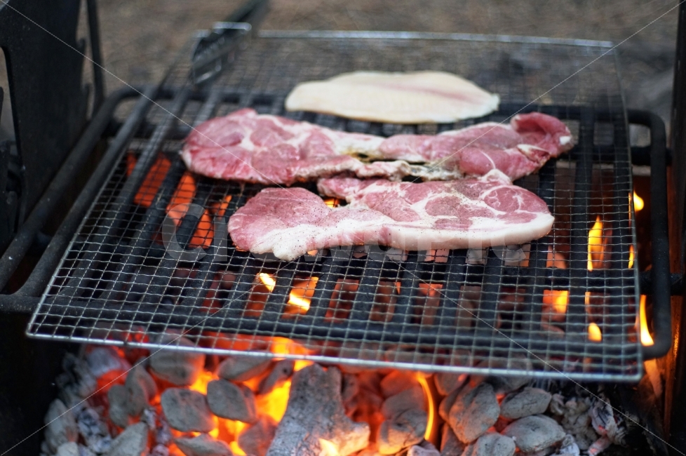 고기,캠핑,구이,BBQ,스테이크,식재료,Cooking,Camping,Fire,Nobody,음식,음식,식재료,요리,food,cook,meal,dishes,food reserves,육류,고기,meat