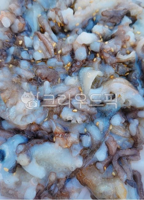 산낙지,낙지,산낙지탕탕이,낙지탕탕이,탕탕이,생물,생낙지,회,낙지회,음식,식사,참깨,깨,참기름,food,meal