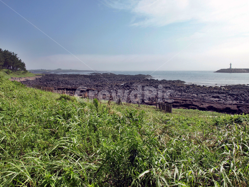하모해수욕장,올레10코스,올레,서귀포시,제주,해변,등대,바다,자연,풍경,nature,landscape,제주도,jeju,jeju island,plant,식물,grass,잔디,outdoors,옥외