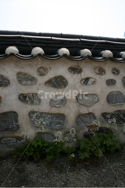 돌담,담,담장밑,담장,한국,전통가옥,고택,한국전통,한국문화,korean traditional,korean culture,건축물,건물외관,exterior,building,structure,architecture,construction
