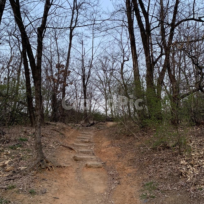 산,산길,산책로,산책,산책길