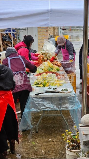 시골김장,김장풍경,김장김치,김치,김장,배추김치