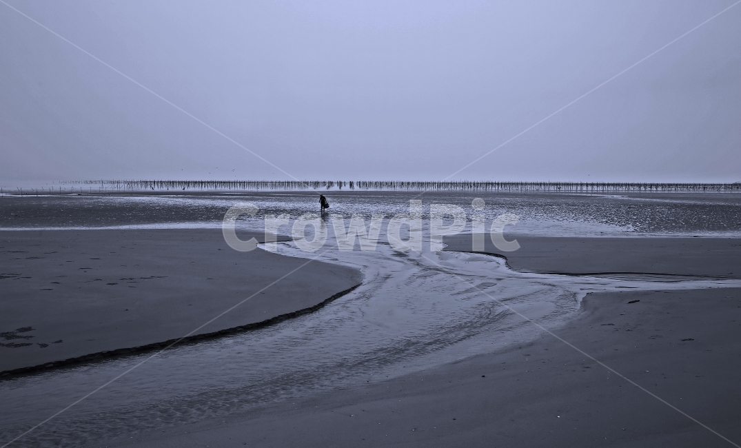 증도,귀로,통영전국사진공모전,아버지,우전해변,자연,풍경,nature,landscape,한국자연풍경,한국자연경관,korea nature landscape,해변,바다,beach,sea,사람,인물,인간,human,person,인물실루엣,사람실루엣,character silhouette,human silhouette,land,땅,outdoors,옥외