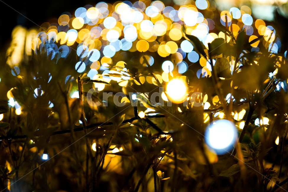 light,빛,flare,플레어,전구