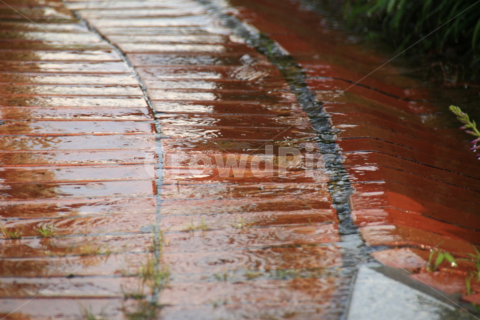 비,비오는날,땅,빗물,흐림,rain,날씨,빗소리,rainy,weather,장마,여름,소나기,emotion,비,비오는날,rain,rainy